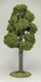 Tree 1