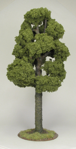 Tree 1