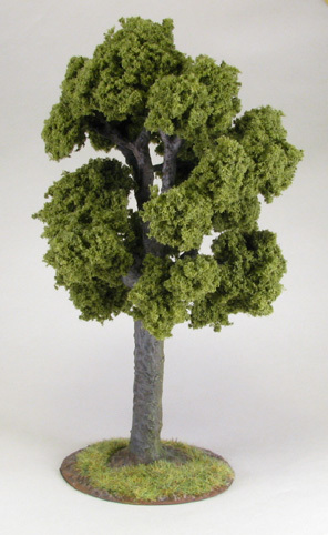 Terrain