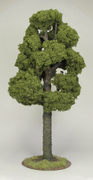 Tree 1