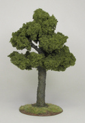 Tree 3