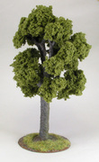 Terrain